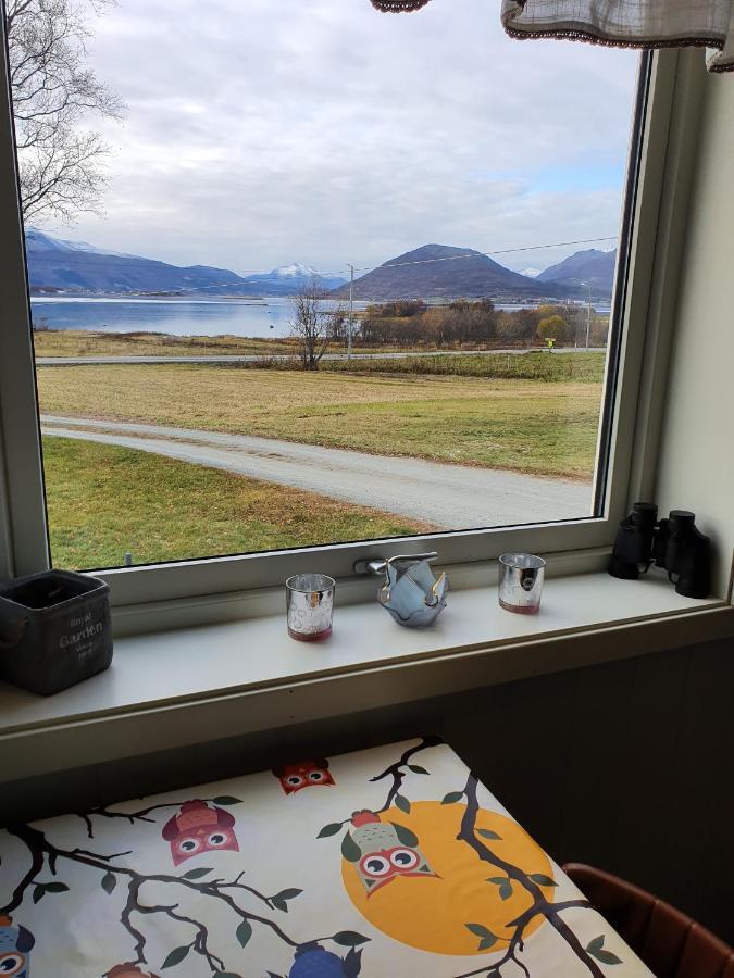 1 Room In The Yellow House, Close To Airport & Lofoten Evenskjer Eksteriør billede